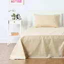 01.webp