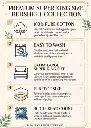 06.webp