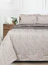 01 (1).webp